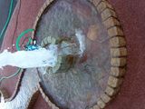 20131001-003.jpg