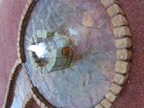 20131001-004.jpg