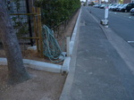 P1000551.JPG
