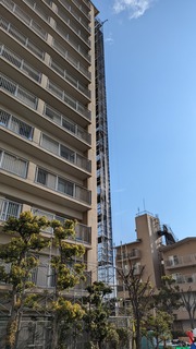 PXL_20230208_010155574.jpg
