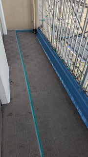 PXL_20230315_223735231.jpg