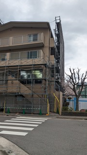 PXL_20230405_062058027.jpg